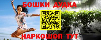 спайс Малгобек
