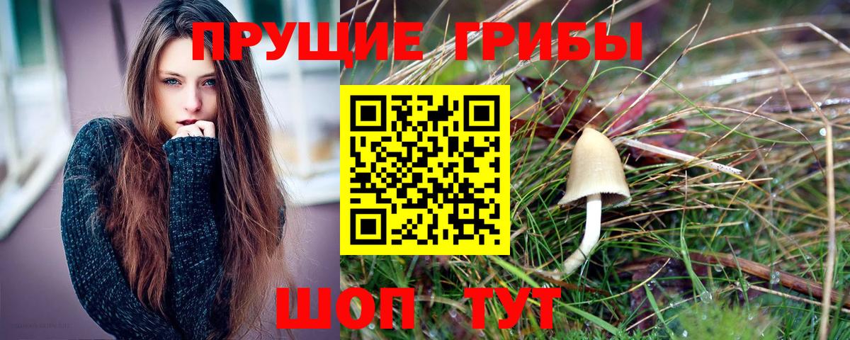 Псилоцибиновые грибы Magic Shrooms  Галлюциногенные грибы Magic Shrooms  Вход с VPN  Владимир 