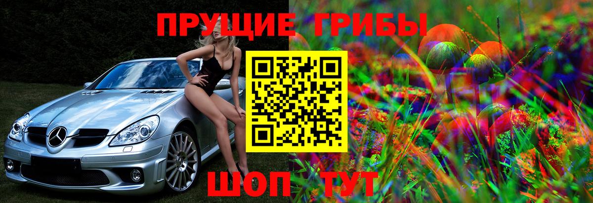 Галлюциногенные грибы GOLDEN TEACHER Владимир